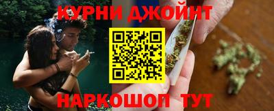 МДПВ Бийск