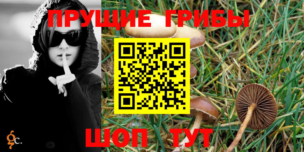 Галлюциногенные грибы Cubensis Ишимбай